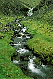 Mountain Stream