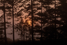 Seney Wildlife Refuge