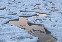 Ice Along Lake Superior