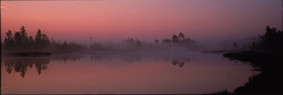 Misty Lake