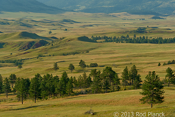 Badlands National Park, Wind Cave National Park, Custer State Park and National Grasslands, South Dakota