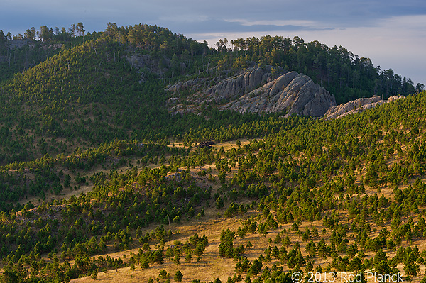 Badlands National Park, Wind Cave National Park, Custer State Park and National Grasslands, South Dakota