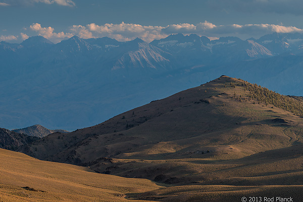 Bristlecone Pines and Landscapes of the Eastern Sierras Tour