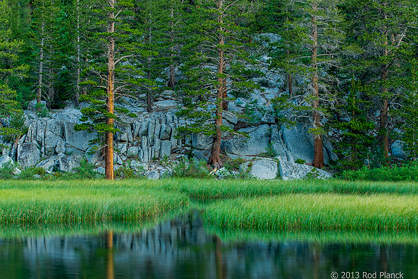 Bristlecone Pines and Landscapes of the Eastern Sierras Tour