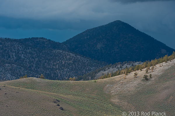 Bristlecone Pines and Landscapes of the Eastern Sierras Tour