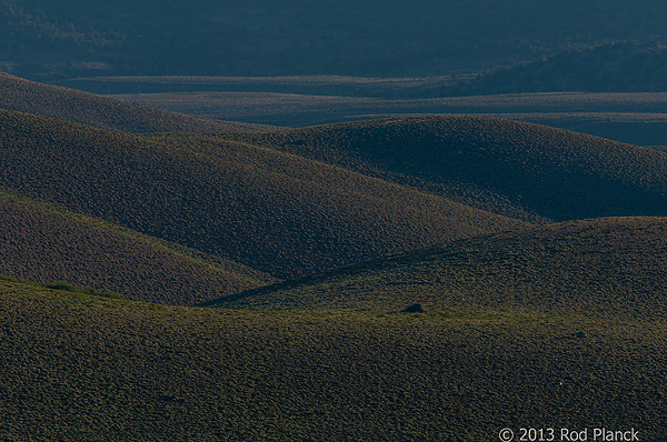 Bristlecone Pines and Landscapes of the Eastern Sierras Tour