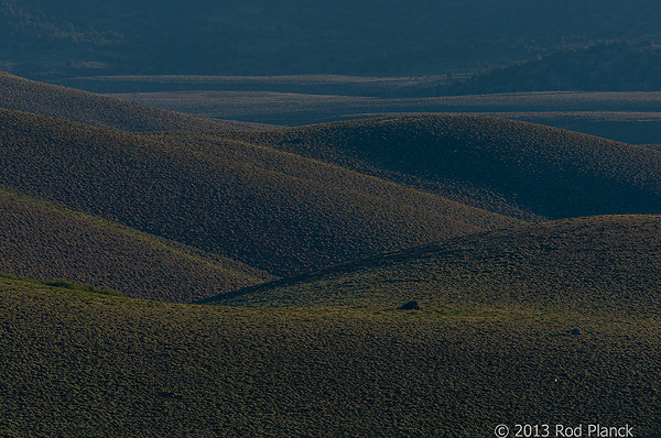 Bristlecone Pines and Landscapes of the Eastern Sierras Tour