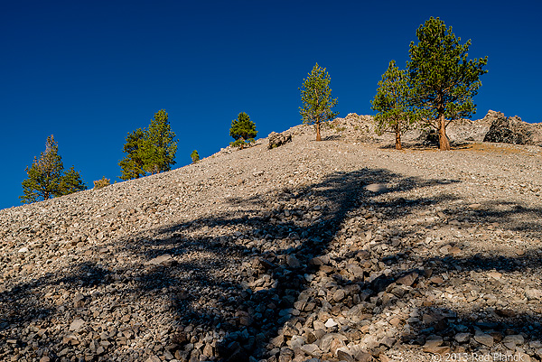 Bristlecone Pines and Landscapes of the Eastern Sierras Tour