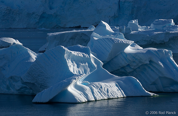 Iceberg(s) along Antarctic Peninsula, Austral Summer