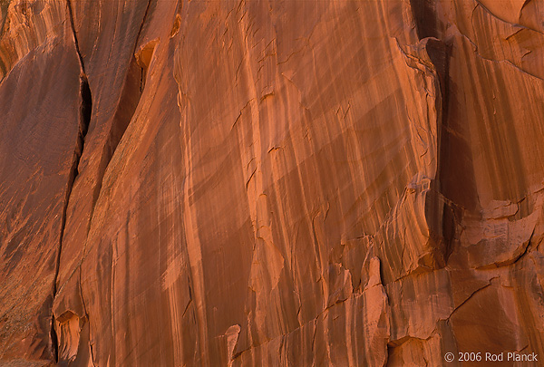 Upper Spring Canyon, Detail, Wingate Sandstone