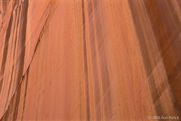 Upper Spring Canyon, Detail, Wingate Sandstone