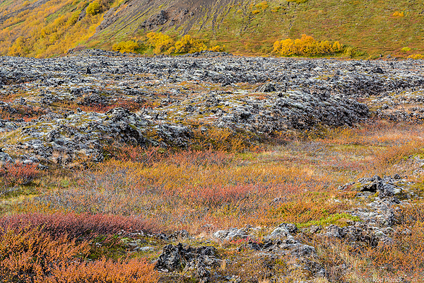 Iceland: Autumn Landscapes and Fire in the Sky Tour