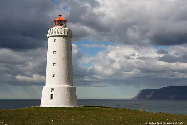 Lighthouse, Barbara Baird Lighthouse, Barbara Baird