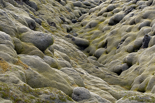 Iceland: Autumn Landscapes and Fire in the Sky Tour