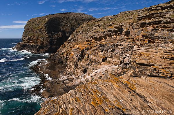 New Island, Falkland Islands