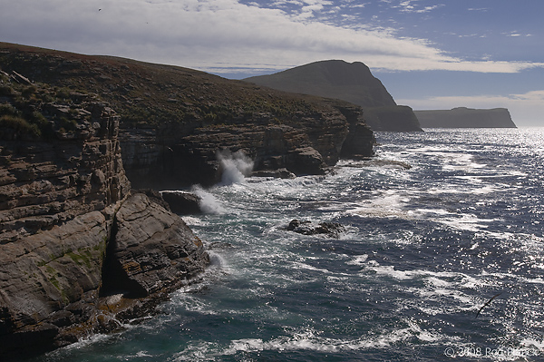 New Island, Falkland Islands