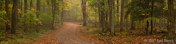 Landscape; Dirt Road; Autumn; Northern Michigan; Michigan; Panoramic