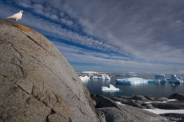 Booth Island, Antarctica