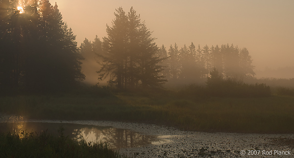 Foggy Morning, Northern Michigan