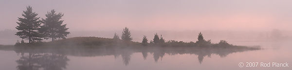 Foggy Morning, Northern Michigan