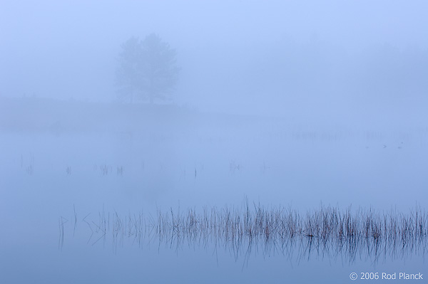 Foggy Morning, Autumn, Northern Michigan