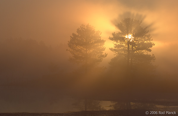 Foggy Morning, Northern Michigan