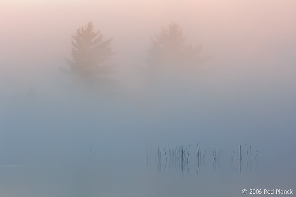 Foggy Dawn, Northern Michigan, Summer, Michigan