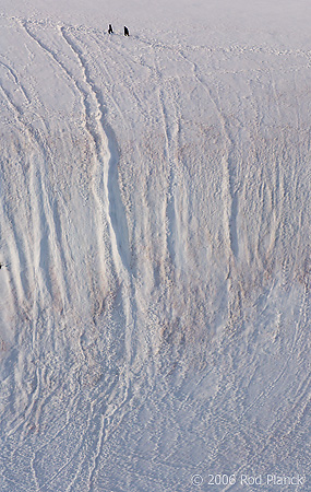 Hikers, Antarctic Peninsula