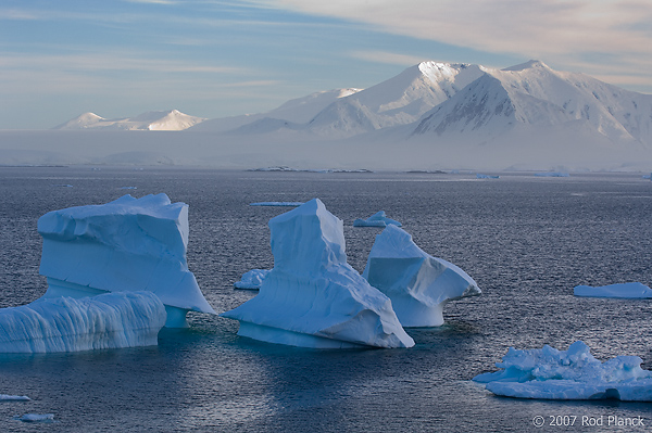 Iceberg, Booth Island, Antarctica