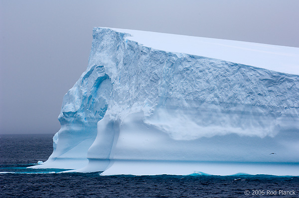 Iceberg(s) along Antarctic Peninsula, Austral Summer