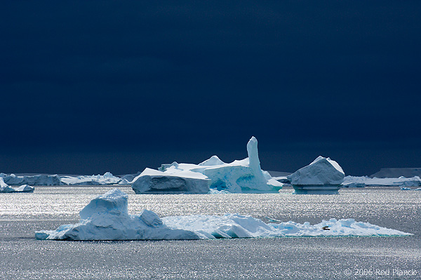 Iceberg(s) along Antarctic Peninsula, Austral Summer