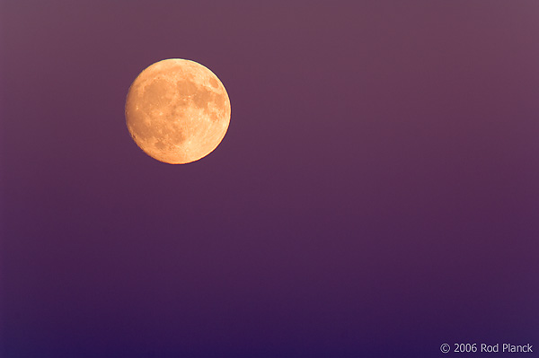 Moonrise, Summer, Northern Michigan