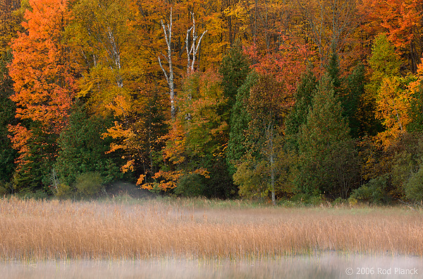 Nelson Lake, Autumn, Michigan