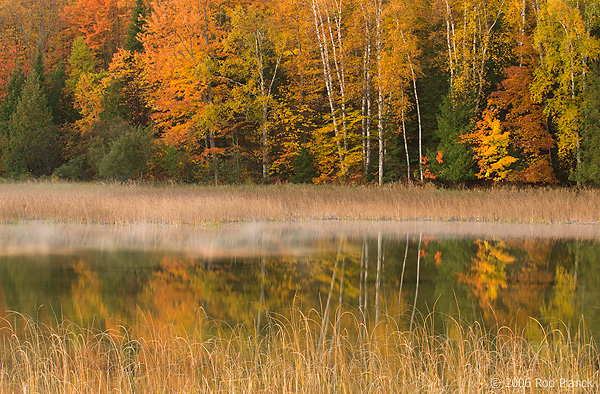 Nelson Lake, Autumn, Michigan