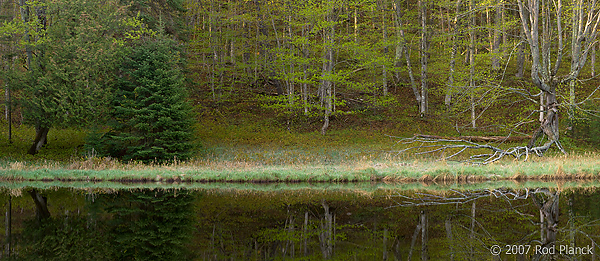 Pond, Spring, Pictured Rocks National Lakeshore, Michigan