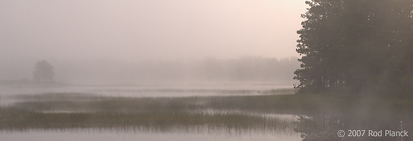 Foggy Morning, Summer, Northern Michigan