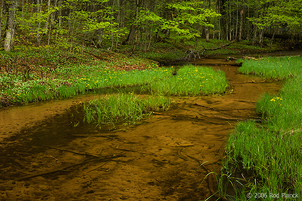 Small Stream, Spring, Pictured Rocks National Lakeshore, Upper Peninsula, Michigan