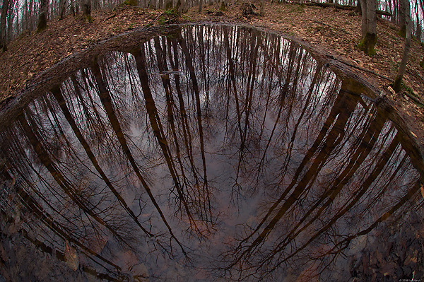 Spring Pond, Upper Peninsula, Michigan