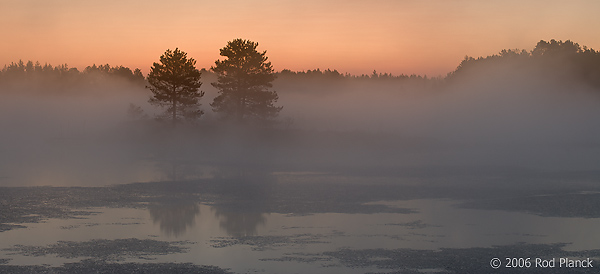 Foggy Morning, Northern Michigan