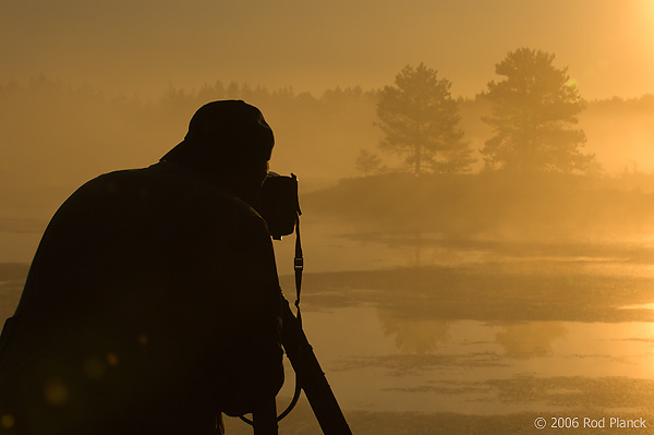 Workshop Participant Photographing, Dawn, Summer,Northern Michigan