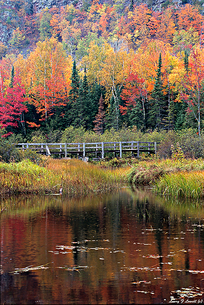 Bridge at Lake of the Clouds, Autumn, Porcupine Mountains Wilderness State Park, Michigan