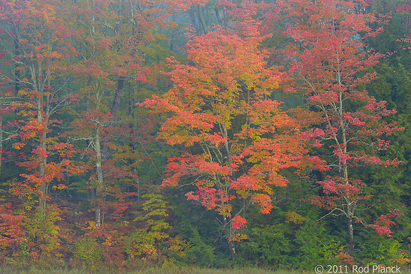 Porcupine Mountains Wilderness State Park and Environs, Michigan - Attractions