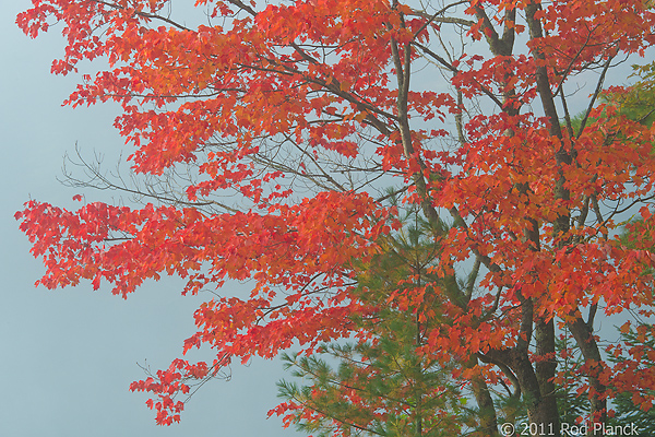 Porcupine Mountains Wilderness State Park and Environs, Michigan - Attractions