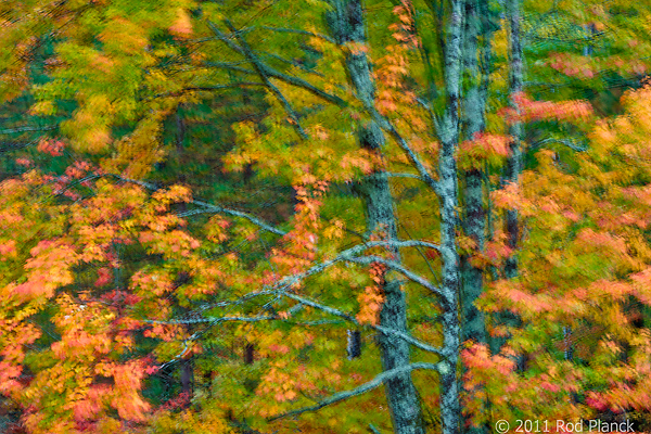 Porcupine Mountains Wilderness State Park, Michigan - Attractions
Multiple Exposure