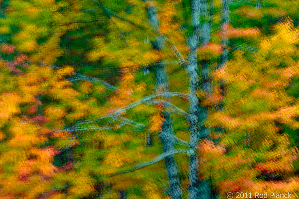 Porcupine Mountains Wilderness State Park, Michigan - Attractions
Multiple Exposure