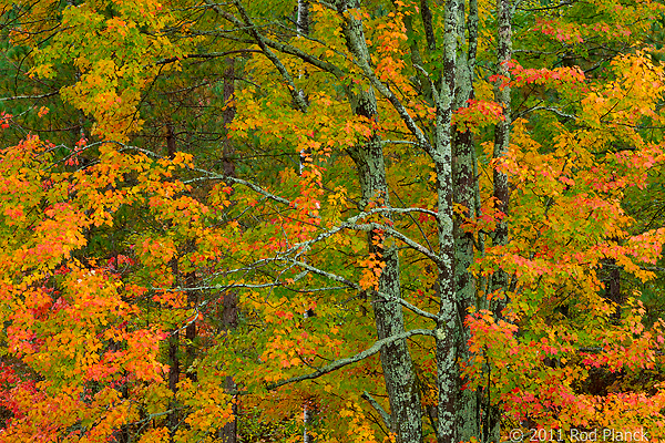 Porcupine Mountains Wilderness State Park, Michigan - Attractions