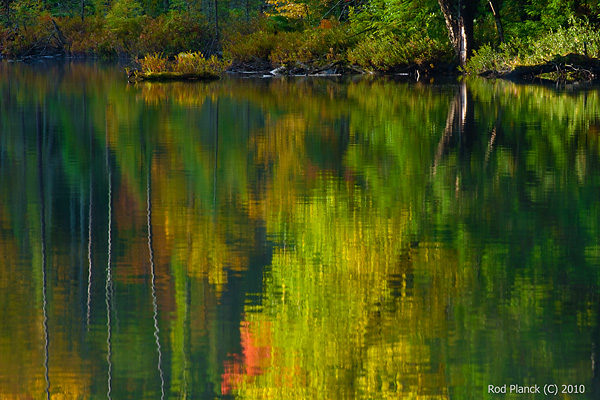 Autumn Reflections on Lake, Northern Michigan