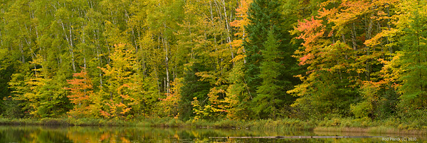 Autumn Reflections on Lake, Northern Michigan