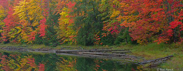 Autumn Beach and Maple Forest, Ottawa National Forest, Ultimate Autumn Forests and Lake Superior Shoreliine Tour, MI