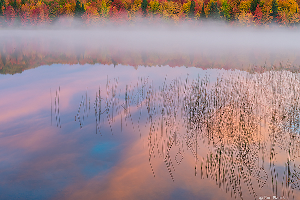 Autumn Beach and Maple Forest, Ottawa National Forest, Ultimate Autumn Forests and Lake Superior Shoreliine Tour, MI